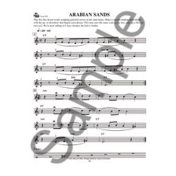 Mary Ann Harbar: Gypsy Violin Basics - A Beginner's Guide (Book/Online Audio)