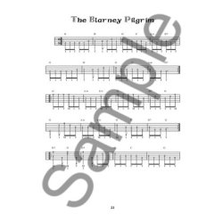 Tom Hanway: Easy Irish And Celtic Session Tunes For 5-String Banjo - Best-Loved Jigs And Reels (Book/Online Audio)