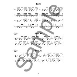 Bill Woods: Bodhran: Beyond The Basics (Book/Online Audio)