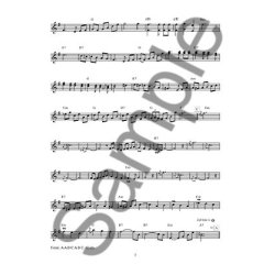 Dan Newton: More Cafe Accordion (Book/Online Audio)