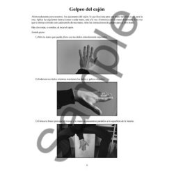 Jordan Perlson: Primeras Lecciones Cajon