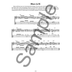 Todd Collins: Modes On Mandolin - Improve Your Improvisation