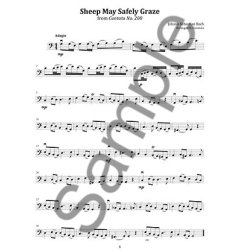 Katherine Curatolo: Wedding Music for Solo Cello