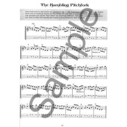 Dan Gelo: Fiddle Tunes & Irish Music For Mandolin (Book/Online Audio)