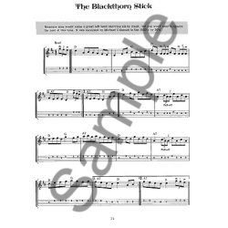 Dan Gelo: Fiddle Tunes & Irish Music For Mandolin (Book/Online Audio)