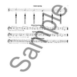 Dona Gilliam/Mizzy McCaskill: Tin Whistler's Companion (Book/Online Audio)