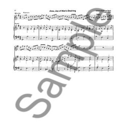 Dona Gilliam/Mizzy McCaskill: Tin Whistler's Companion (Book/Online Audio)