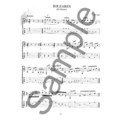 Mel Agen: Flamenco Music For Acoustic Guitar (Book/Online Audio)