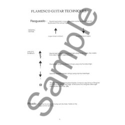 Mel Agen: Flamenco Music For Acoustic Guitar (Book/Online Audio)