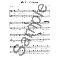 Karen Mueller: Celtic Autoharp (Book/Online Audio)