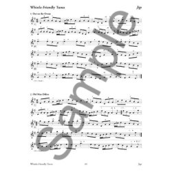 Grey Larsen: 150 Gems Of Irish Music For Tin Whistle (Book/Online Audio)