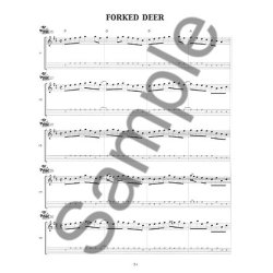 John McGann's Developing Melodic Variations On Fiddle Tunes