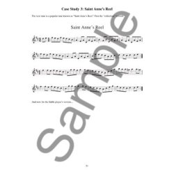 Philip John Berthoud: Irish Fiddle Playing - Volume 2 (Book/Online Audio)