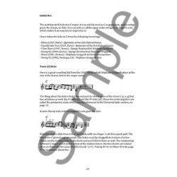 Tim Kliphuis: Grappelli Licks - The Vocabulary of Gypsy Jazz (Book/Online Audio)