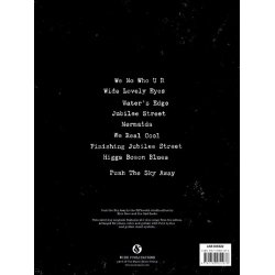 Nick Cave And The Bad Seeds: Push The Sky Away