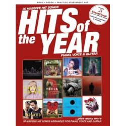 Hits Of The Year 2017 (PVG)