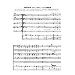 Chester Book Of Motets Vol. 12: Christmas And Advent Motets For 5 Voices