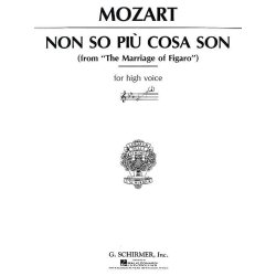 W.A. Mozart: Non So Piu Cosa Son (Le Nozze Di Figaro)