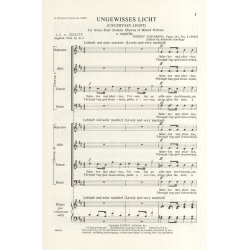Robert Schumann: Ungewisses Licht Op.141 No.2