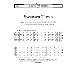 Holst Swansea Town Ttbb Tonic
