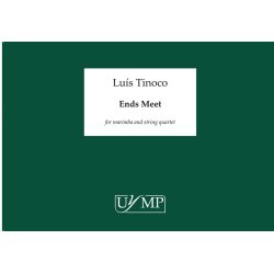 Lus Tinoco: Ends Meet