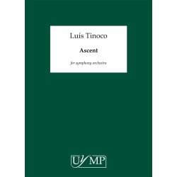 Lu&iacute;s Tinoco: Ascent