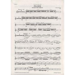 John McCabe: Pilgrim Sextet For Strings (Parts)