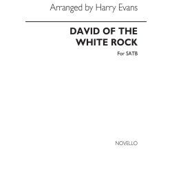 Evans: David Of The White Rock for SATB Chorus