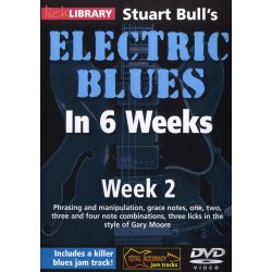Lick Library: Stuart Bull's Electric Blues In 6 Weeks: Week 2