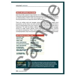 Rockschool: Popular Music Theory Guidebook (Grades Debut &ndash; 5)