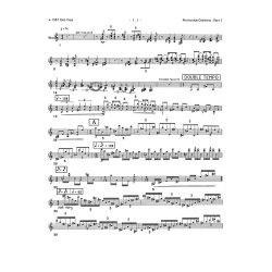 Carl Vine:  Percussion Concerto  (Solo Part)