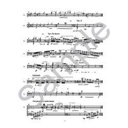 Benet Casablancas: Ricercare Para Chillida - Cello Score