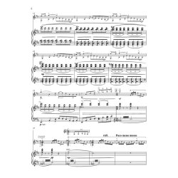 Ink Dark Moon - Guitar Concerto