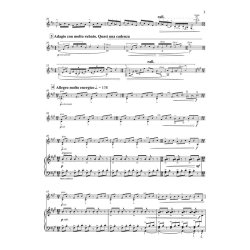 Ink Dark Moon - Guitar Concerto