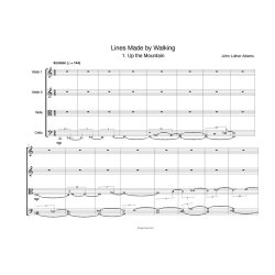 Lines Made by Walking