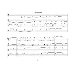 Lines Made by Walking