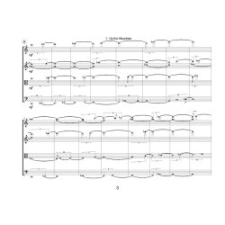 Lines Made by Walking