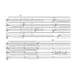 Les Accord&eacute;ons V