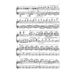 Fantasy on the notes Acade