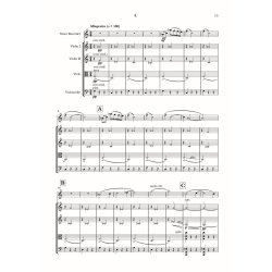 Fantasy for Recorder and String Quartet : David Ellis version
