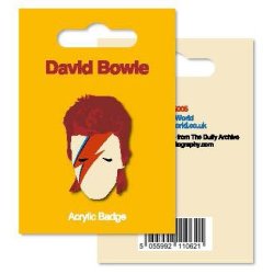 My World: Acrylic Badge - Bowie