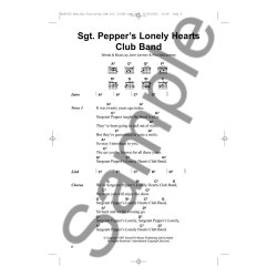 The Beatles: Play-Along Chord Songbook - The Later Years