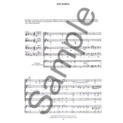 Giovanni Palestrina: Motets