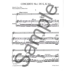 W.A. Mozart: Concerto No.1 In G K.313