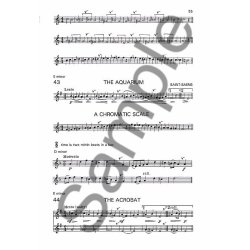 A Beginners Book For The Flute Part 2