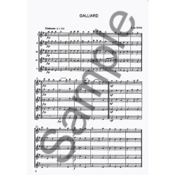 Trevor Wye: Flute Class - Concert Album