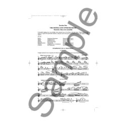 Trevor Wye: The Orchestral Flute Practice Book 2