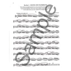 The Piccolo Study Book