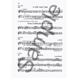 Trevor Wye: A Beginner's Book for the Flute Part Two