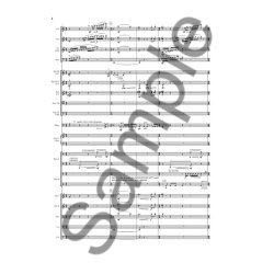 Thea Musgrave: Wood, Metal And Skin